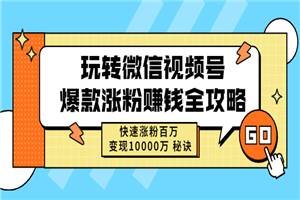 玩转微信视频号爆款涨粉赚钱全攻略，快速涨粉百万 变现10000万