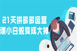 21天拼多多运营课小白蜕变成大神