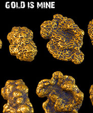 金子是我的/GOLD IS MINE